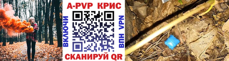 APVP СК  Нолинск 