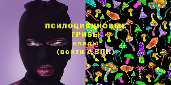 амфетамин Алексин