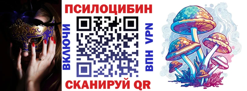 сколько стоит  Нолинск  Галлюциногенные грибы Cubensis 